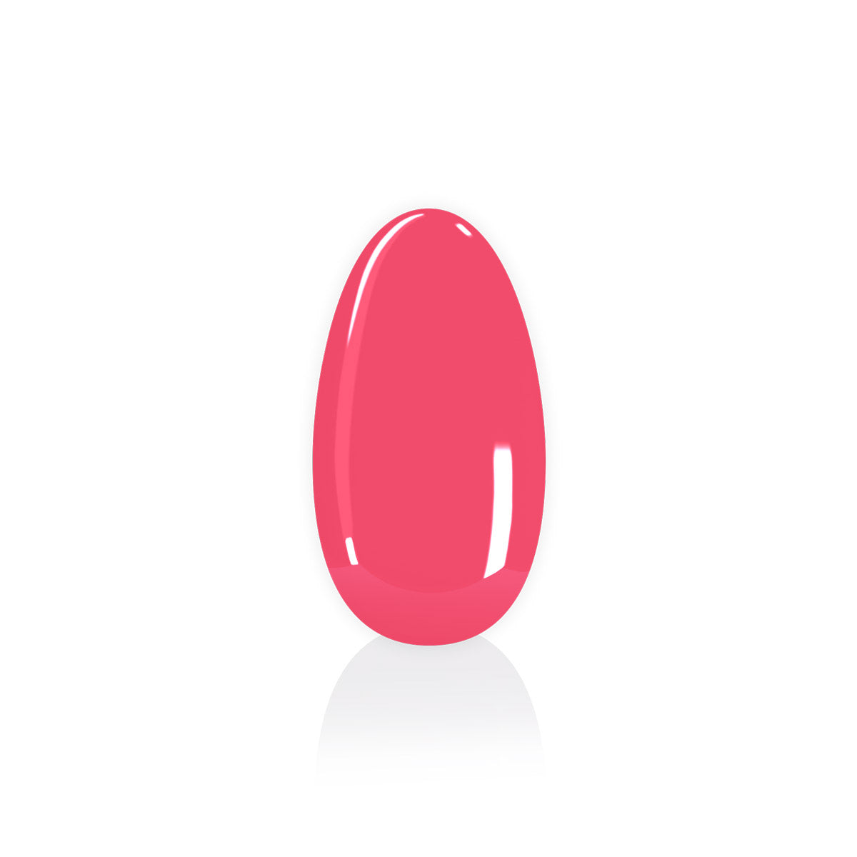 Longlife UV-Lack Feminista